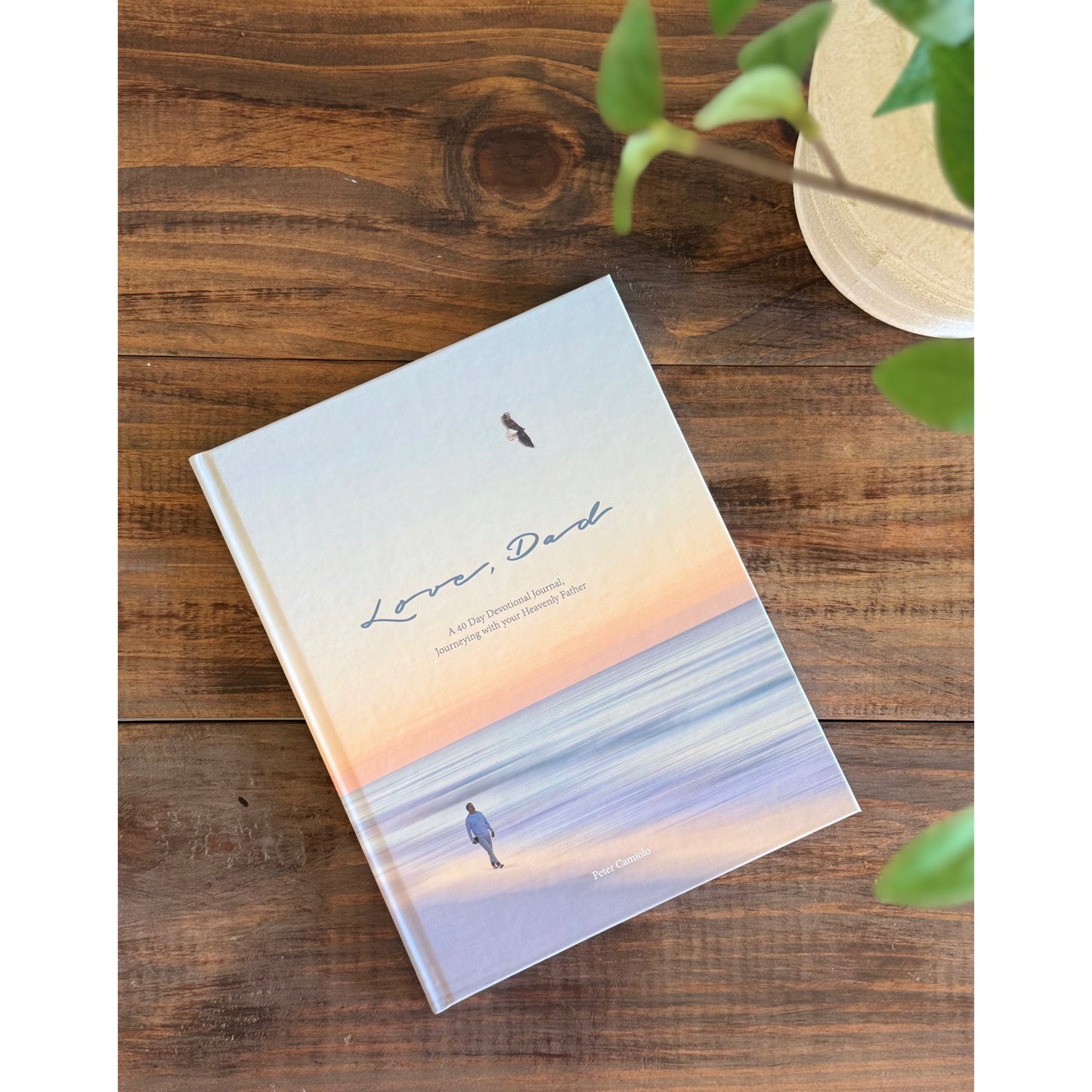 Love, Dad, 40 Day Devotional Journal (Hardcover)